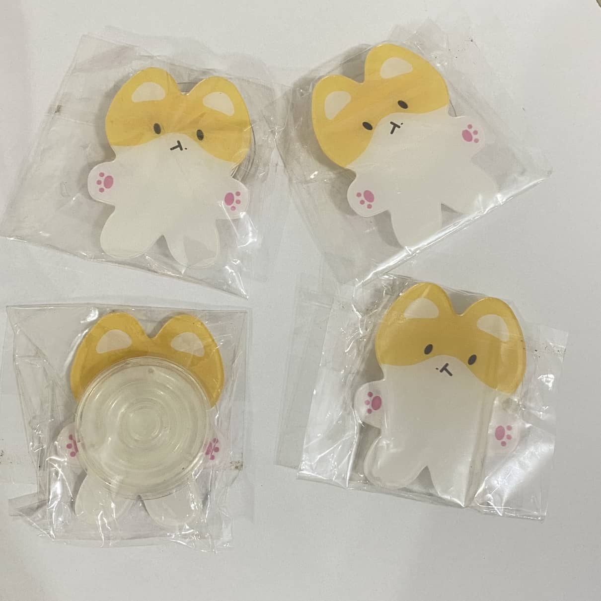 پاپسوکت تولگی