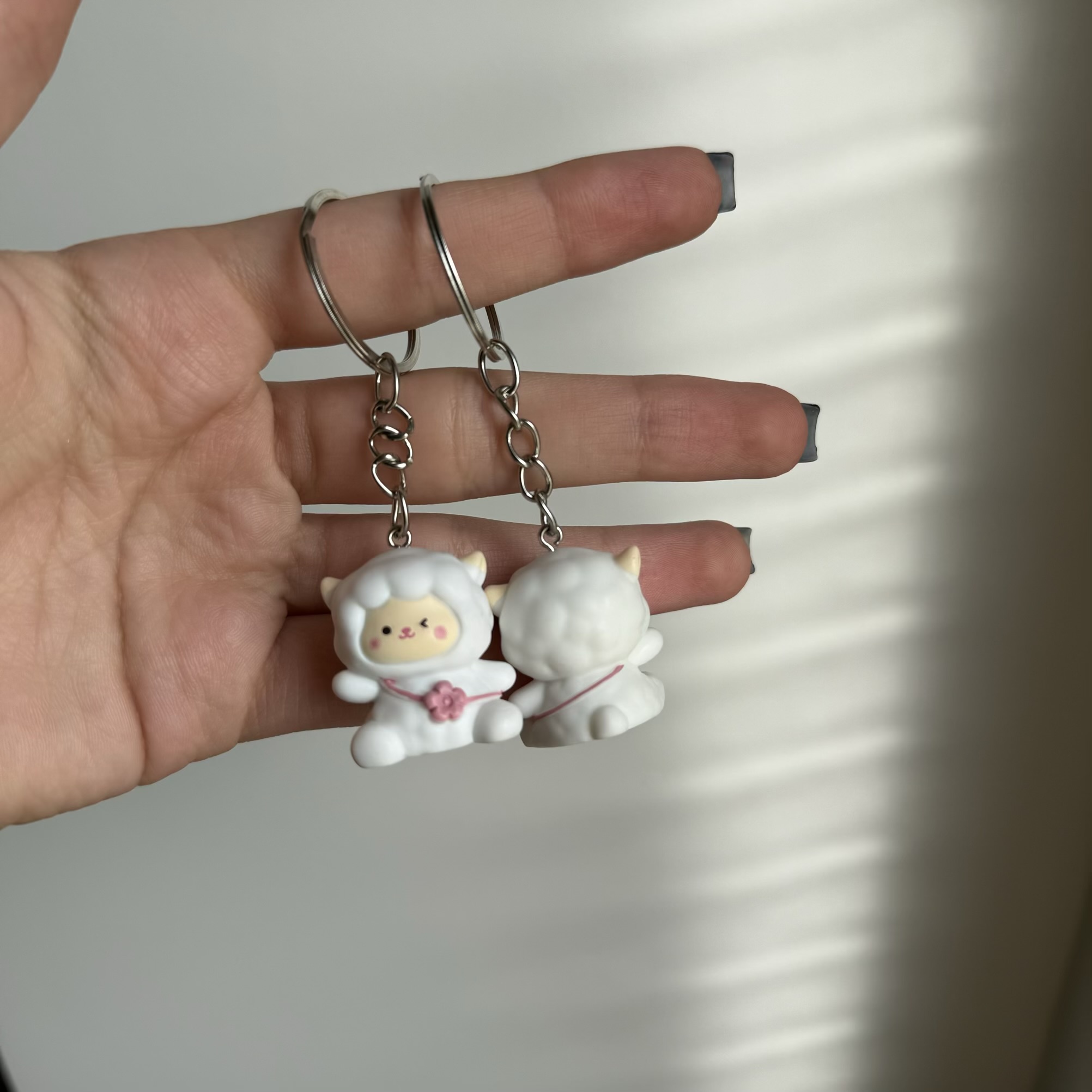 جاکلیدی گوسفند